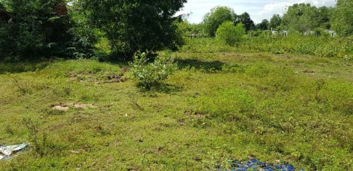 ๐ฆLand Available for Urgent Sale at a Special Price (Negotiable).