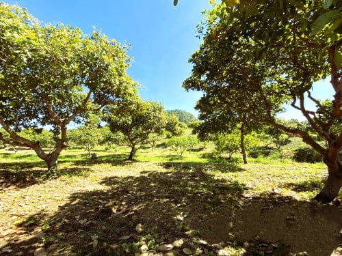 🏦Land for Urgent Sale (Negotiable), ABA Loan Available