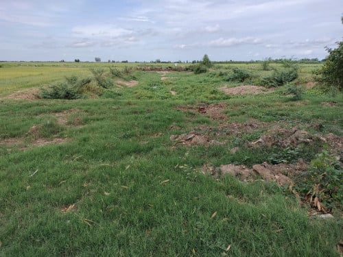 ដីសម្រាប់ លក់