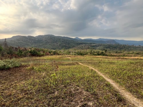 ដីប្លង់រឹង 48ហិចតា ជាប់ភ្នំ មានអូរ នៅជាប់រោចក្រស្វាយ កំពុងដំណើរការ