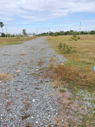 ដី 5x20m2 ផ្លូវ៨ម៉ែត្រ លក់បន្ទាន់តែ$3,800 ក្រោមទីផ្សារ40% លិចផ្លូវ៤១