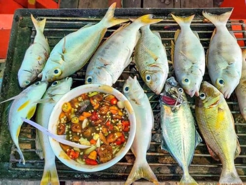 ទូក90$ កំពង់សោម