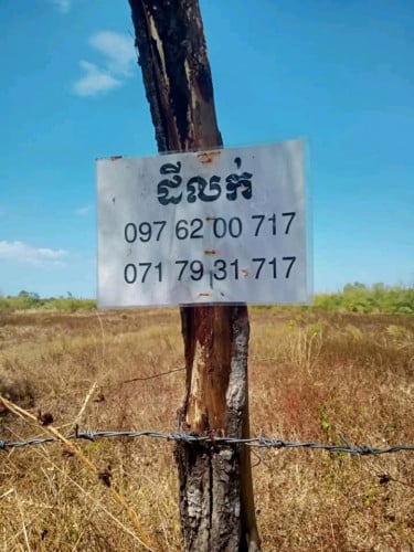 ដីសម្រាប់ធ្វើកសិកម្ម ដីវាលមានជីវជាតិសម្រាប់ដំណាំ