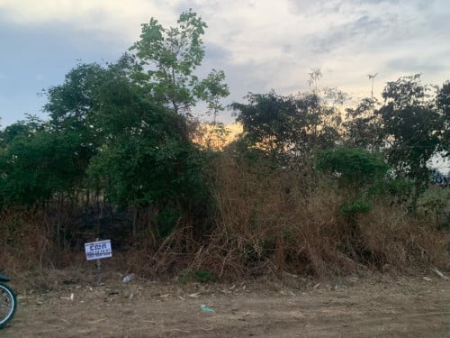 ដីលក់ 12x20