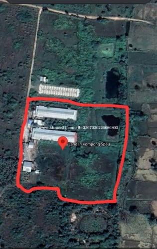 ដីកំពង់ស្ពឺលក់ Land in kompong speu