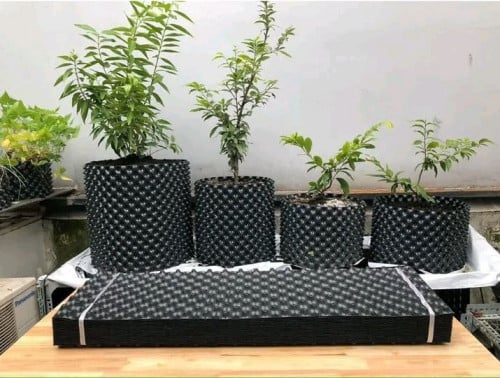 Root Barrier : ជាប្រវែងរនាំងទប់ដី