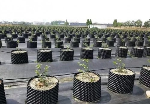 Root Barrier : ជាប្រវែងរនាំងទប់ដី