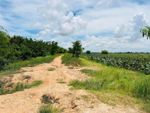 📌 FS-5150 – ដីលក់ជាប់រោងចក្រ 7NG | Land Next to 7NG Factory Project