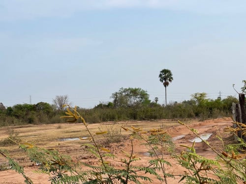 🔮 FS-5092 | Prime Development Land – Chrey Loas, Kandal (20 ha)