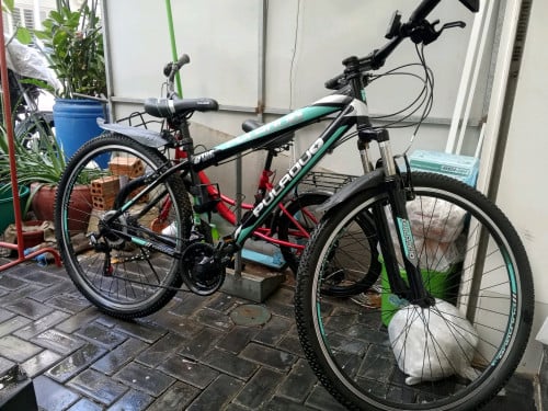 Adult bike hardly used. Like new