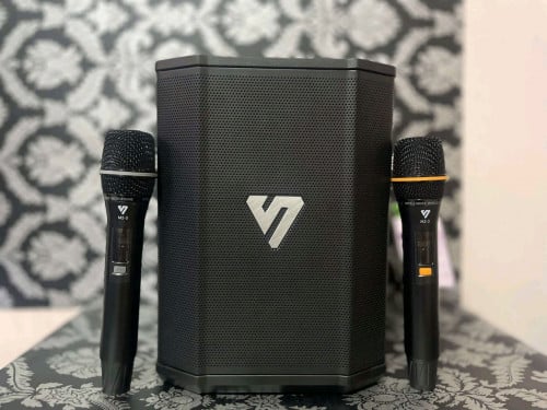 Speaker SHENGYOU S30