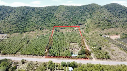 ដីលក់ជាប់ជើងភ្នំ ខេត្តកែប