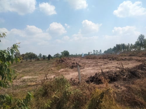 ដីស្រែលក់បន្ទាន់(សៀមរាប)