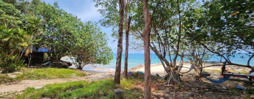 Land For Rent and Sale