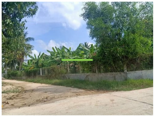 ដីកែងជួលនៅភូមិបឹងខ្យាង