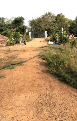 ដីចំការជួលនៅភូមិគ្រួស ឃុំអន្លង់រុន ខេត្តបាត់ដំបង