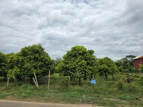 Land for sell 20m×150m, 9m×300m