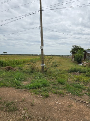 Land for sell 20m×600m