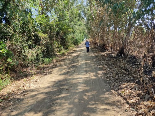 Urgent Land for Sales