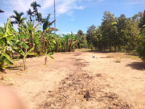 ដីលំនៅឋាន (សម្រាប់លក់)