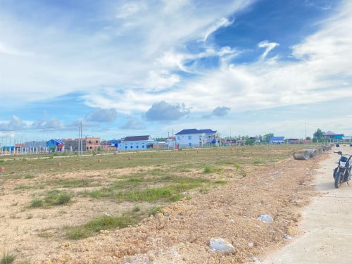 ដីឡូតិ៍