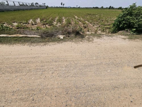 ដីលក់ប្រញ៉ាប់ ៖ 4km ពីផ្សារសំរោងយ៉ោង & 7km ពីប្រលានយន្ដហោះថ្មី