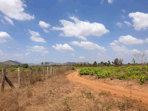 ដីលក់ នៅជិតដីដែលមានហុងស៊ុយល្អ