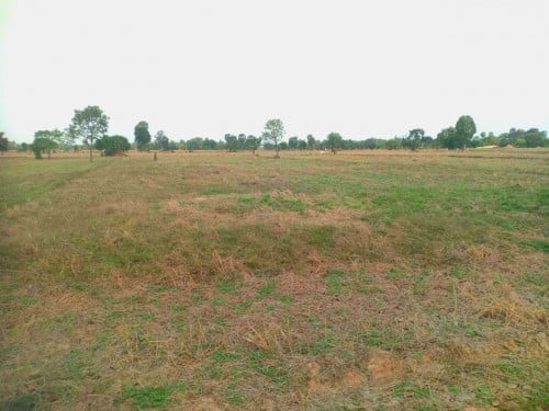 LAND FOR SALE IN SEIM REAP PROVINCE