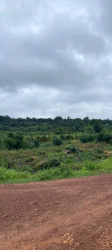 ដីអូស្មាច់លក់1000m²