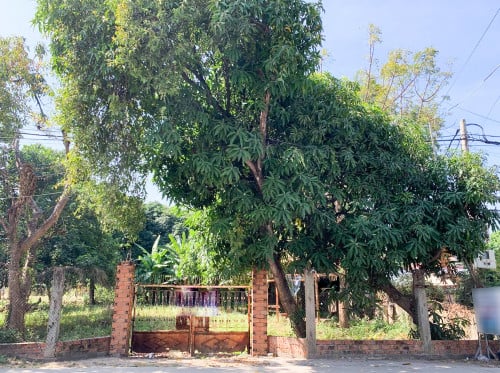 ដីសម្រាប់លក់កោះនរា|Land for sale at Koh Norea
