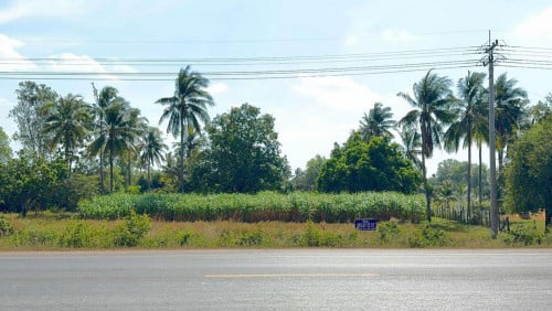ដីលក់បន្ទាន់ ជាប់ផ្លូវជាតិលេខ៣ ជិតសាលាបឹងនិមល ស្រុកឈូក កំពត