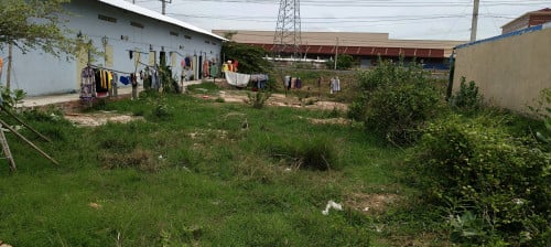 ដីលក់/ជួល (ផ្លង់រឹង)