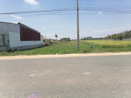 ដីលក់ប្លង់រឹង ម្ចាស់ផ្ទាល់