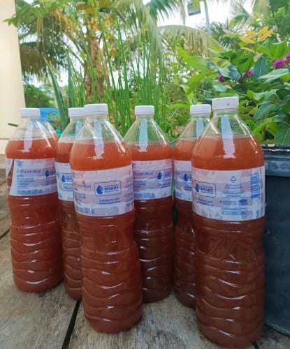 មេជីទឹករស្មីសំយោគ