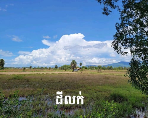 ដីលក់នៅកំពត ទេសភាពស្អាត តំលៃថោកណាស់