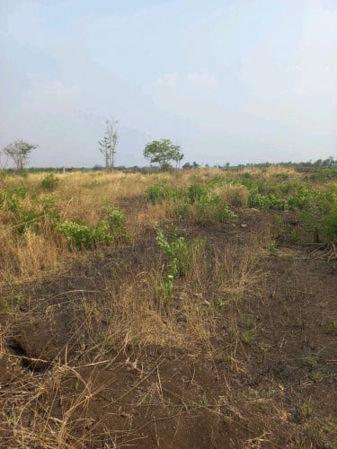 ដីលក់