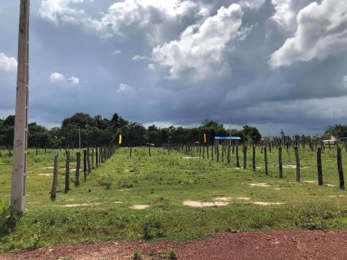 ដីលក់បន្ទាន់នៅសៀមរាប