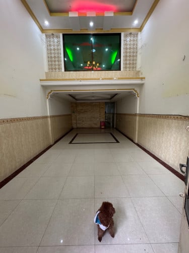 ផ្ទះជួល រឺលក់បន្ទាន់