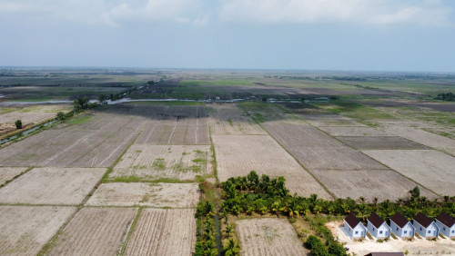 ដីសម្រាប់លក់ជាប់ផ្លូវជាតិលេខ4 km191, 206ha/Land for Sale Along National Road 4 km191 land size:206ha