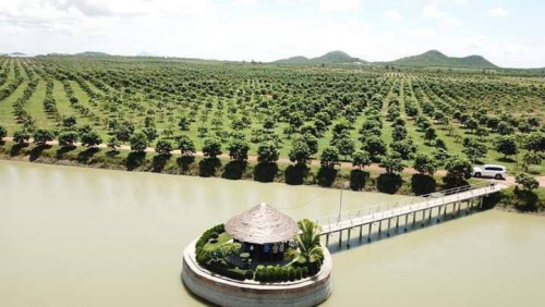 ដីជាប់ផ្លូវជាតិលេខ44កំពង់ស្ពឺ លក់បន្ទាន់តម្លៃពិសេសទំហំ277ha/Land for Sale Along National Road44