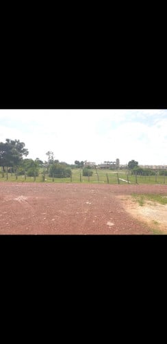 លក់បន្ទាន់ខ្លាំង(សៀមរាប ប្លង់រឹង)