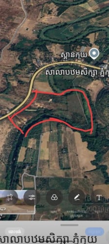 ដី+ផ្ទះ+ចំការ លក់បន្ទាន់ខ្លាំង