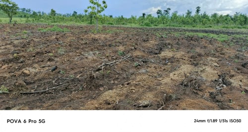 ដីចម្ការលក់នៅទំរីងខេត្តកំពង់ធំតម្លៃ9500$