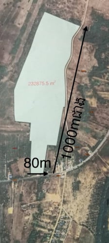ដី+កសិដ្ឋាន23ហិចតា លក់បន្ទាន់ខ្លាំង