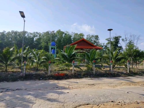 ដីលក់បន្ទាន់តម្លៃទាបជាងទីផ្សារប្លង់រ៍ង