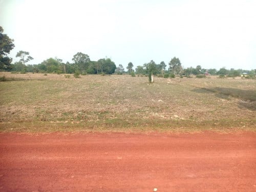LAND FOR SALE IN SIEM REAP