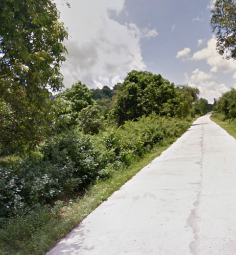 ដីនៅបាសិត