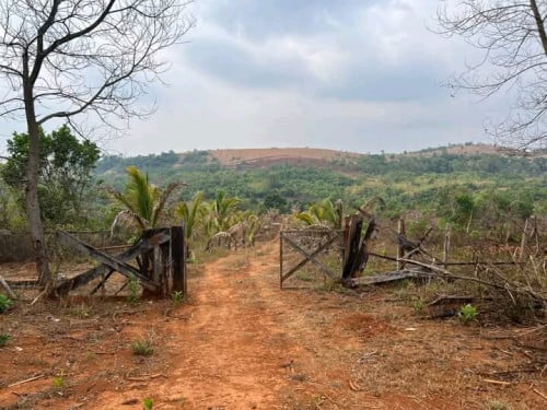 ដីលក់បន្ទាន់លុយខ្លាំង