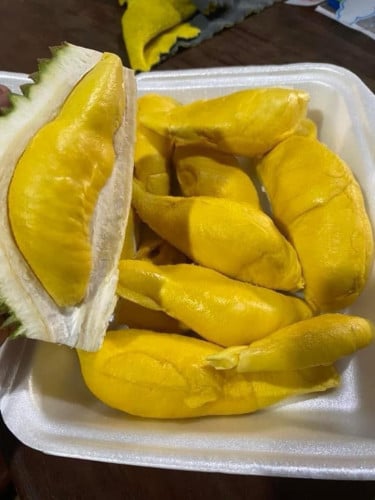 ទុរេនម៉ូសានឃីង