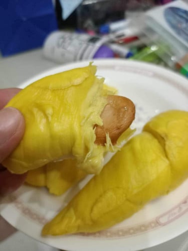 ទុរេនម៉ូសានឃីង